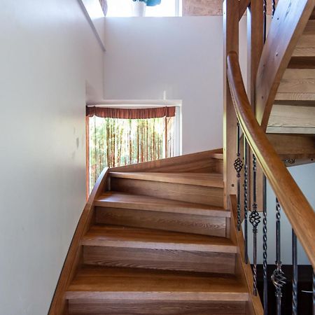 Pas Jolanta Apartman Palanga Kültér fotó